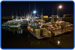 Lobster Boats